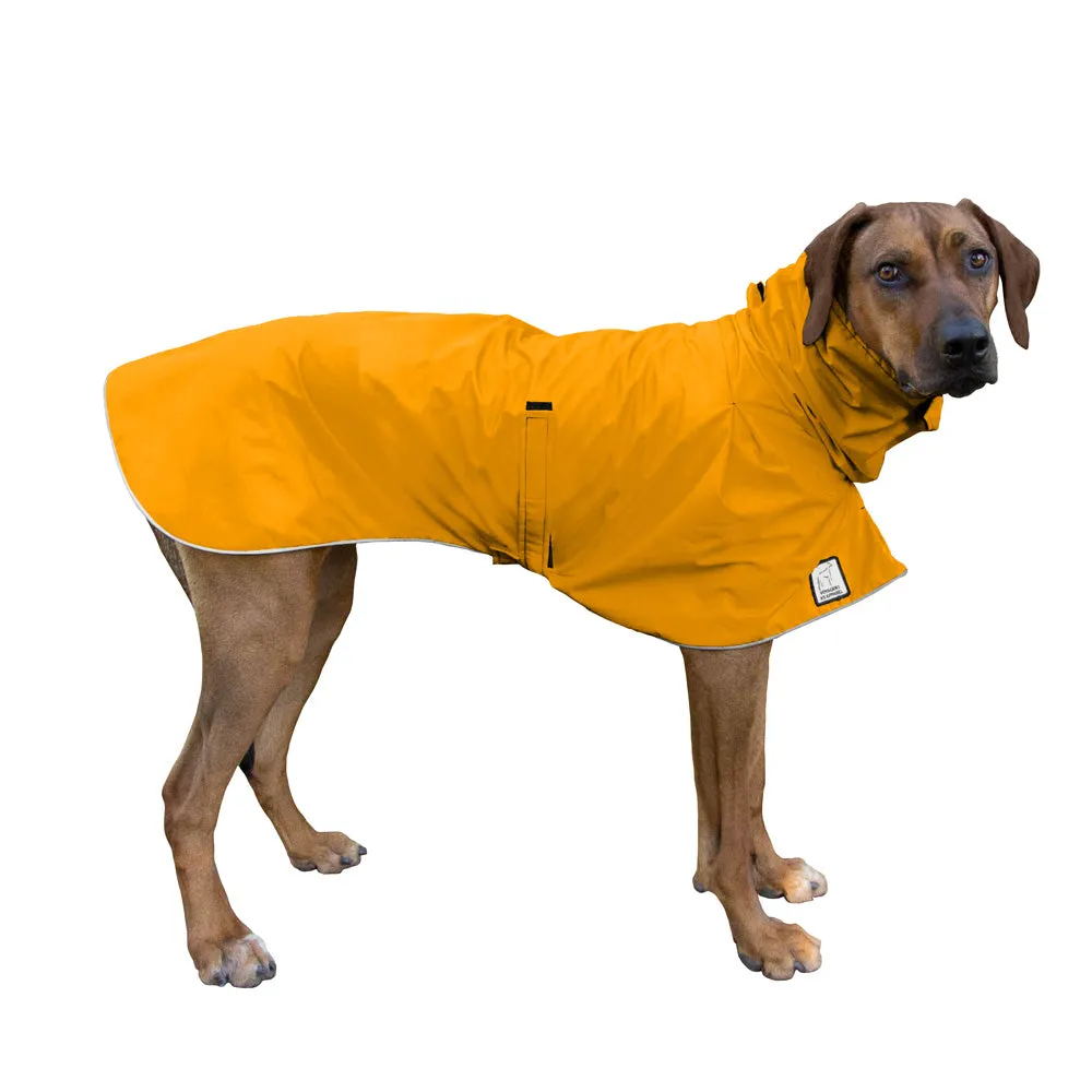 ReCoat ♻️ Rhodesian Ridgeback Raincoat with Harness Opening