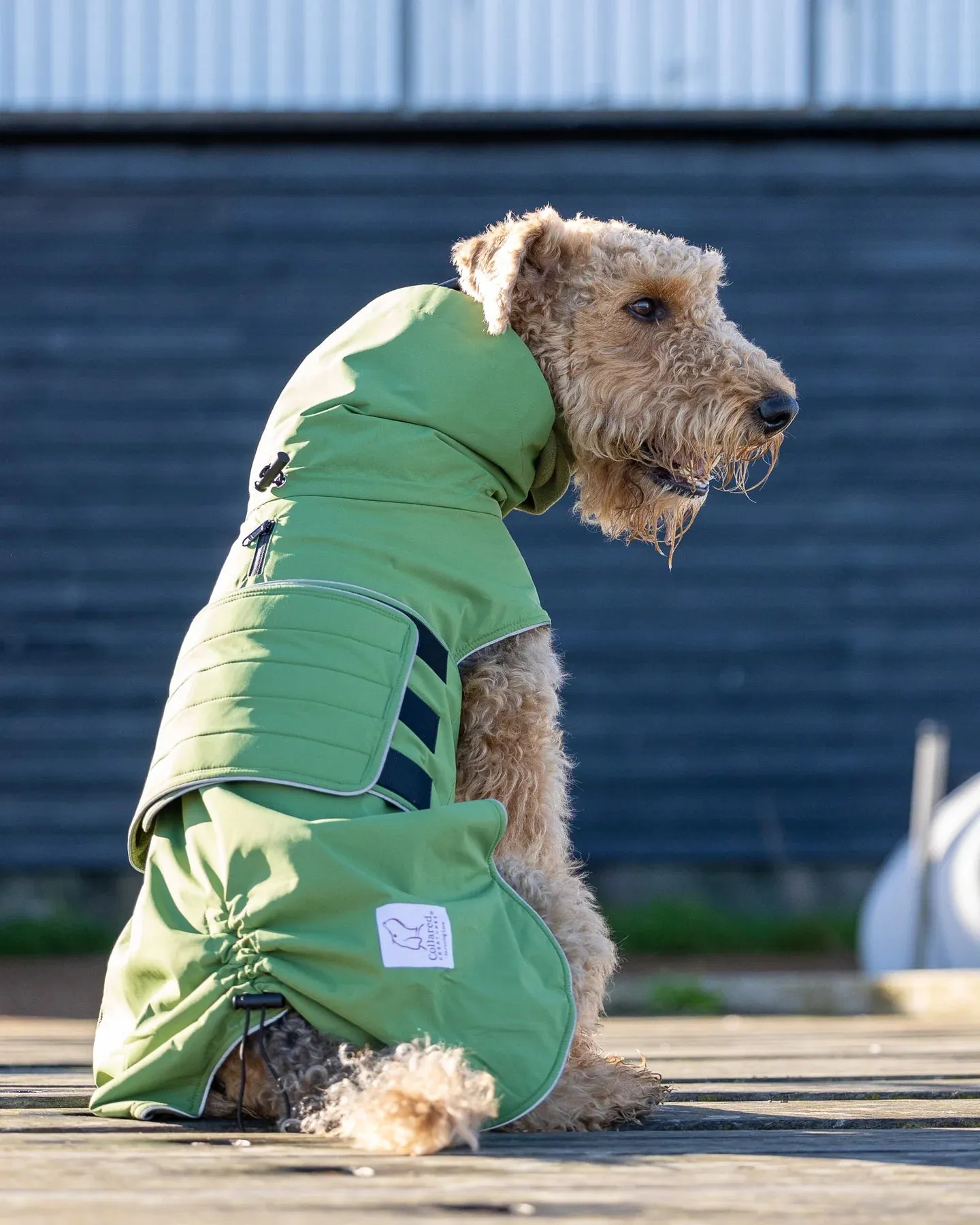 Waterproof Dog Coat