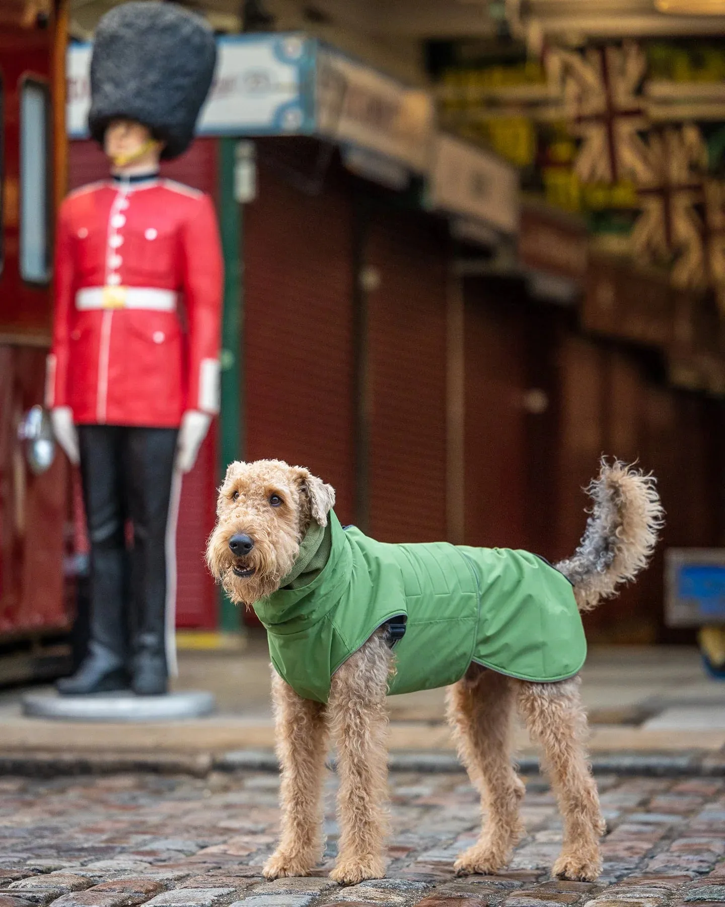 Waterproof Dog Coat