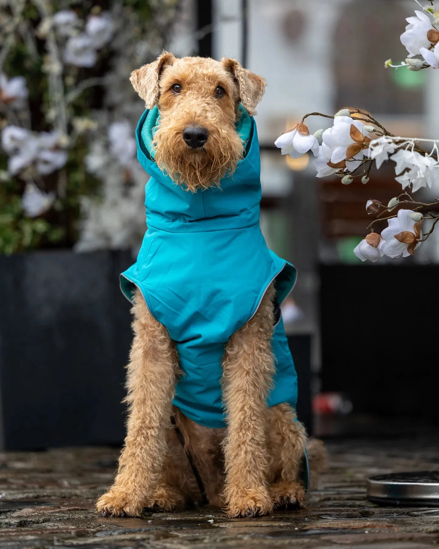 Waterproof Dog Coat