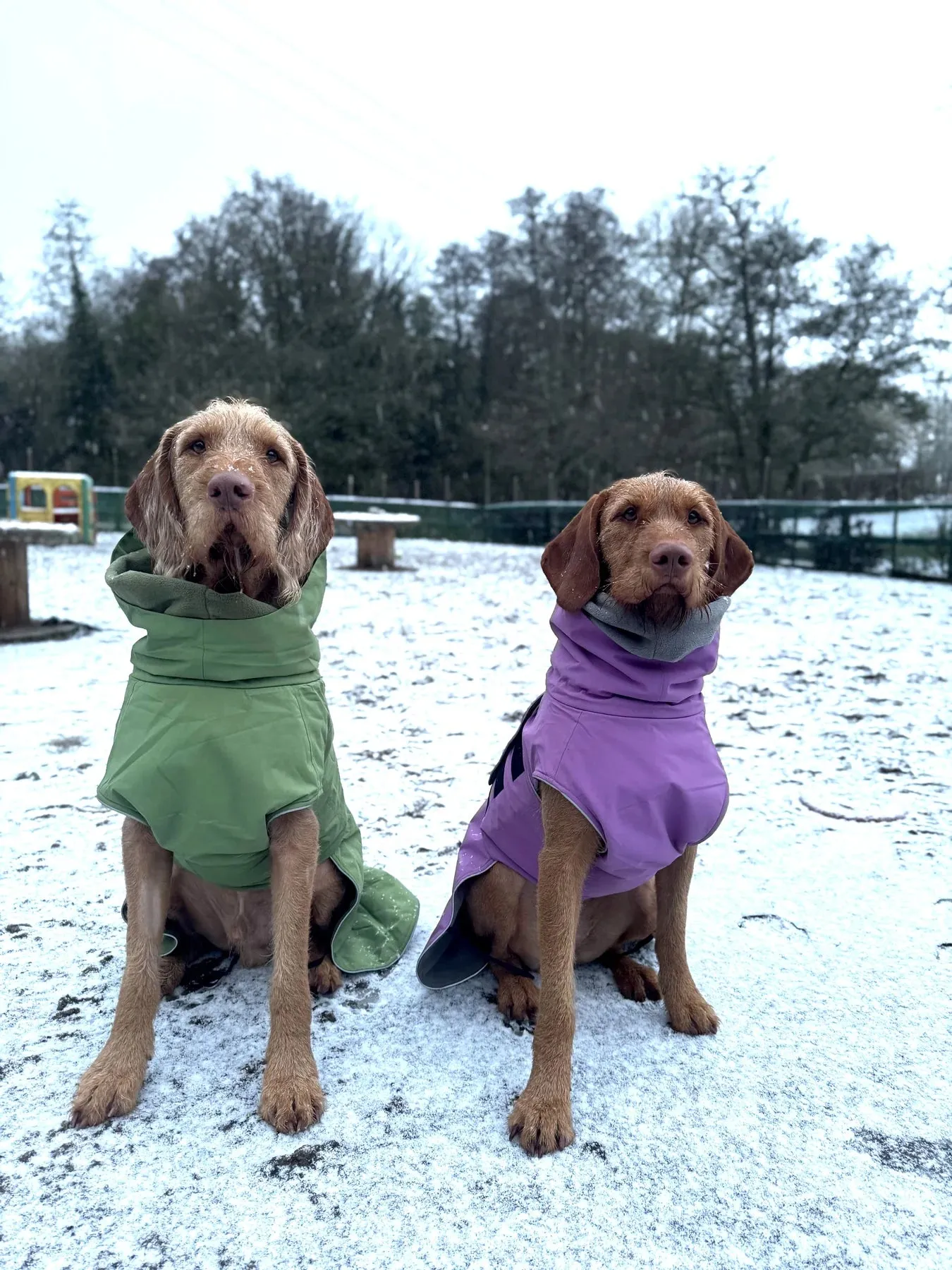 Waterproof Dog Coat