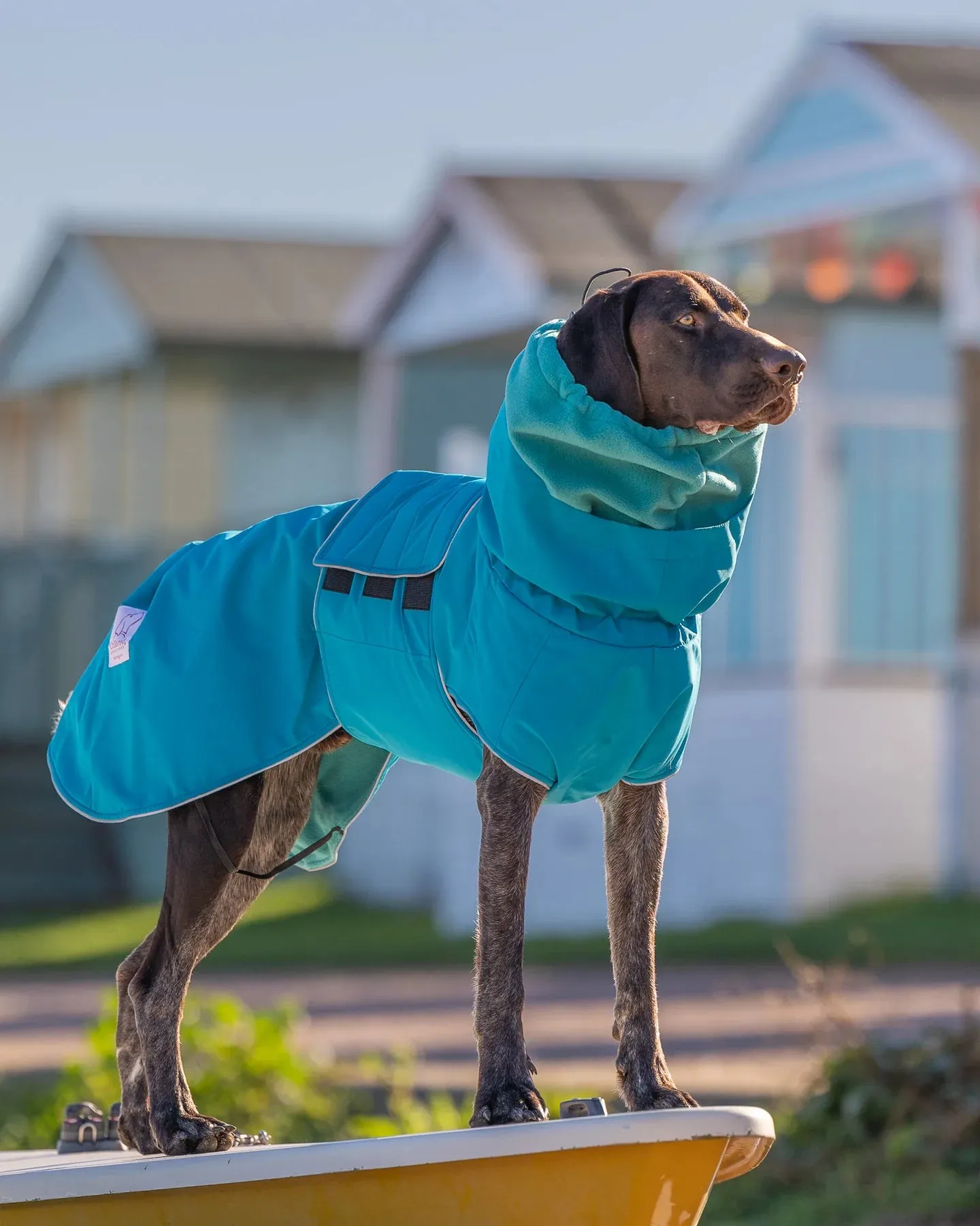 Waterproof Dog Coat