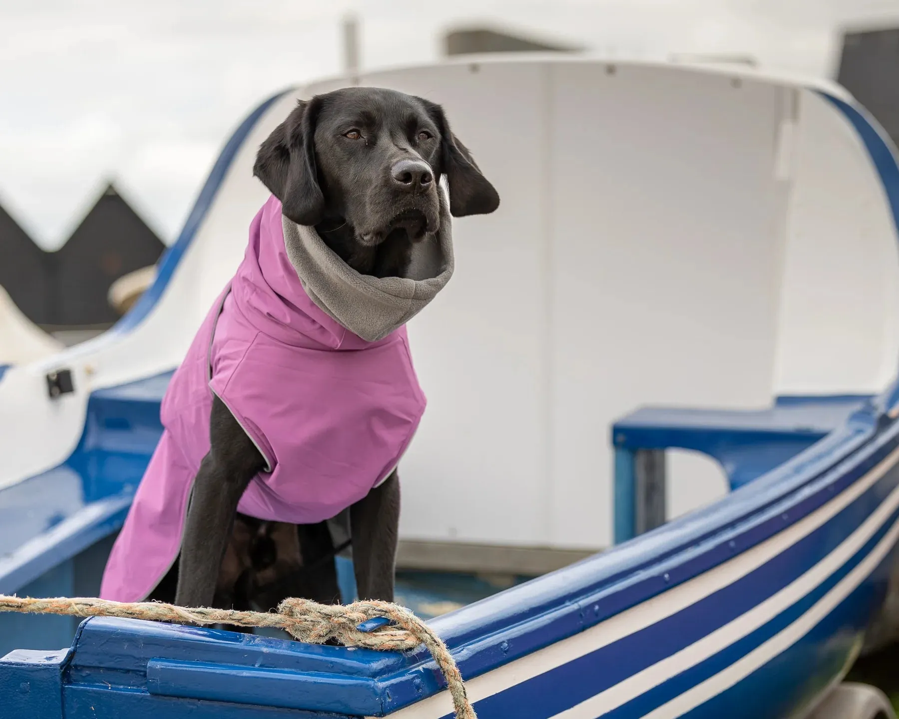 Waterproof Dog Coat