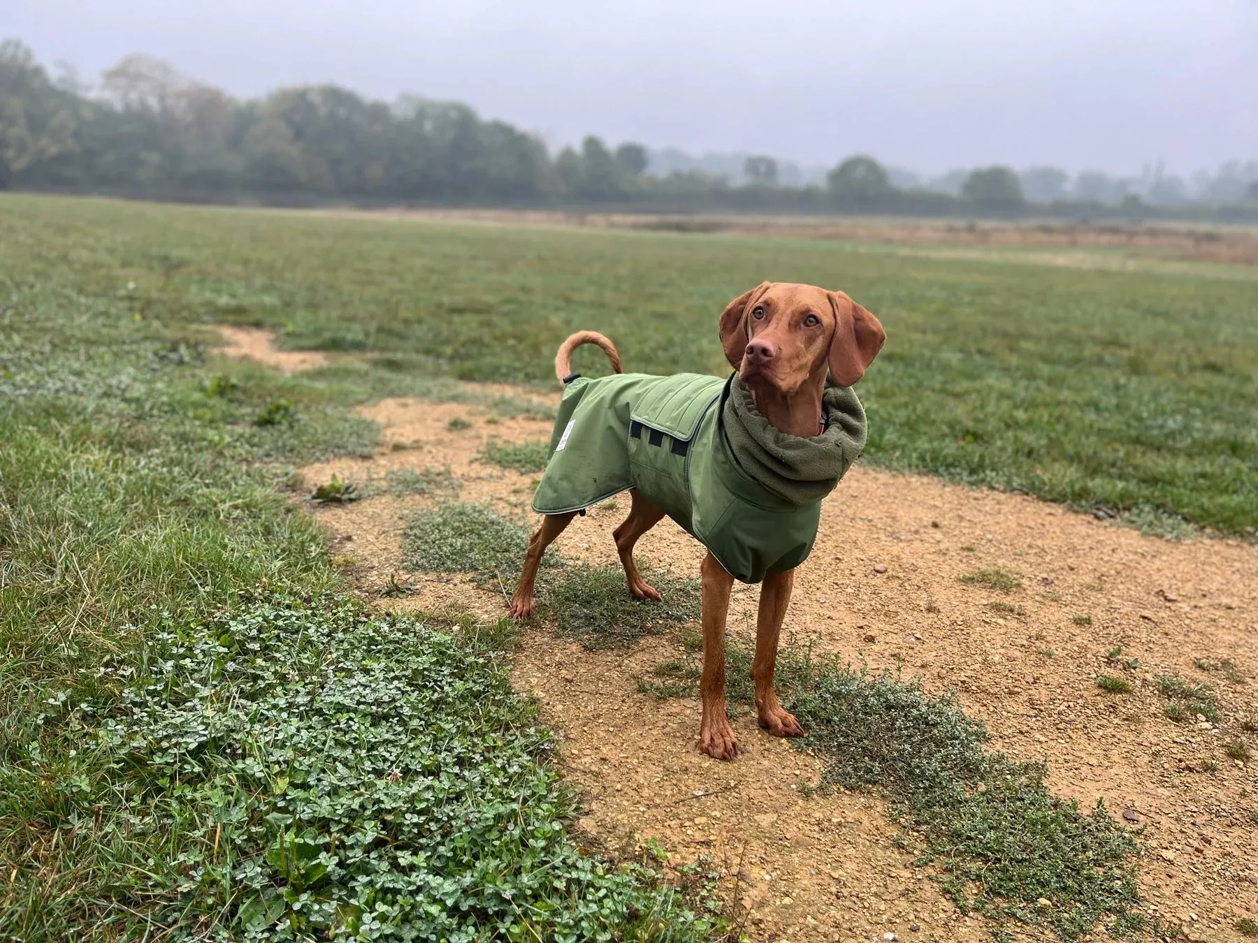 Waterproof Dog Coat