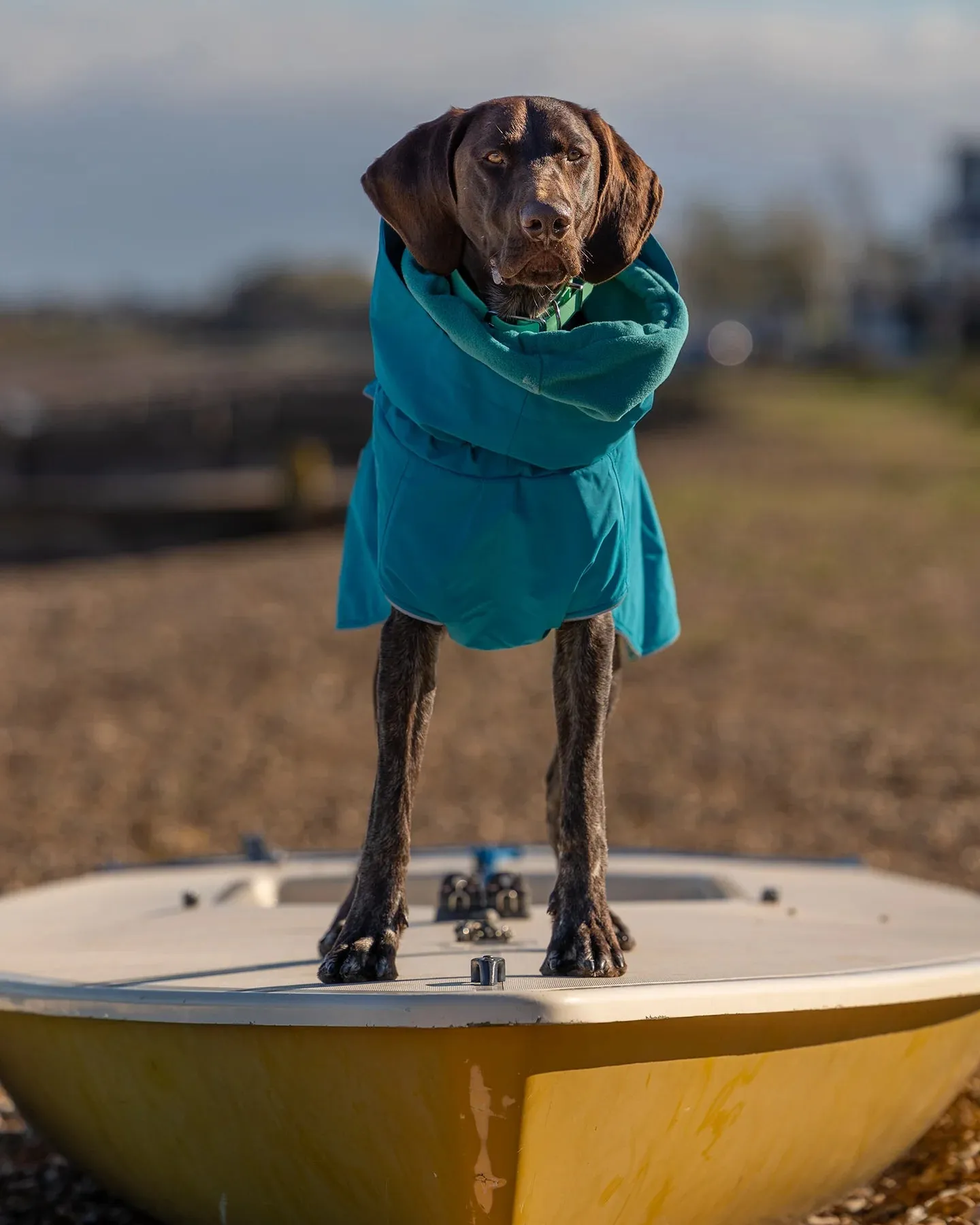 Waterproof Dog Coat