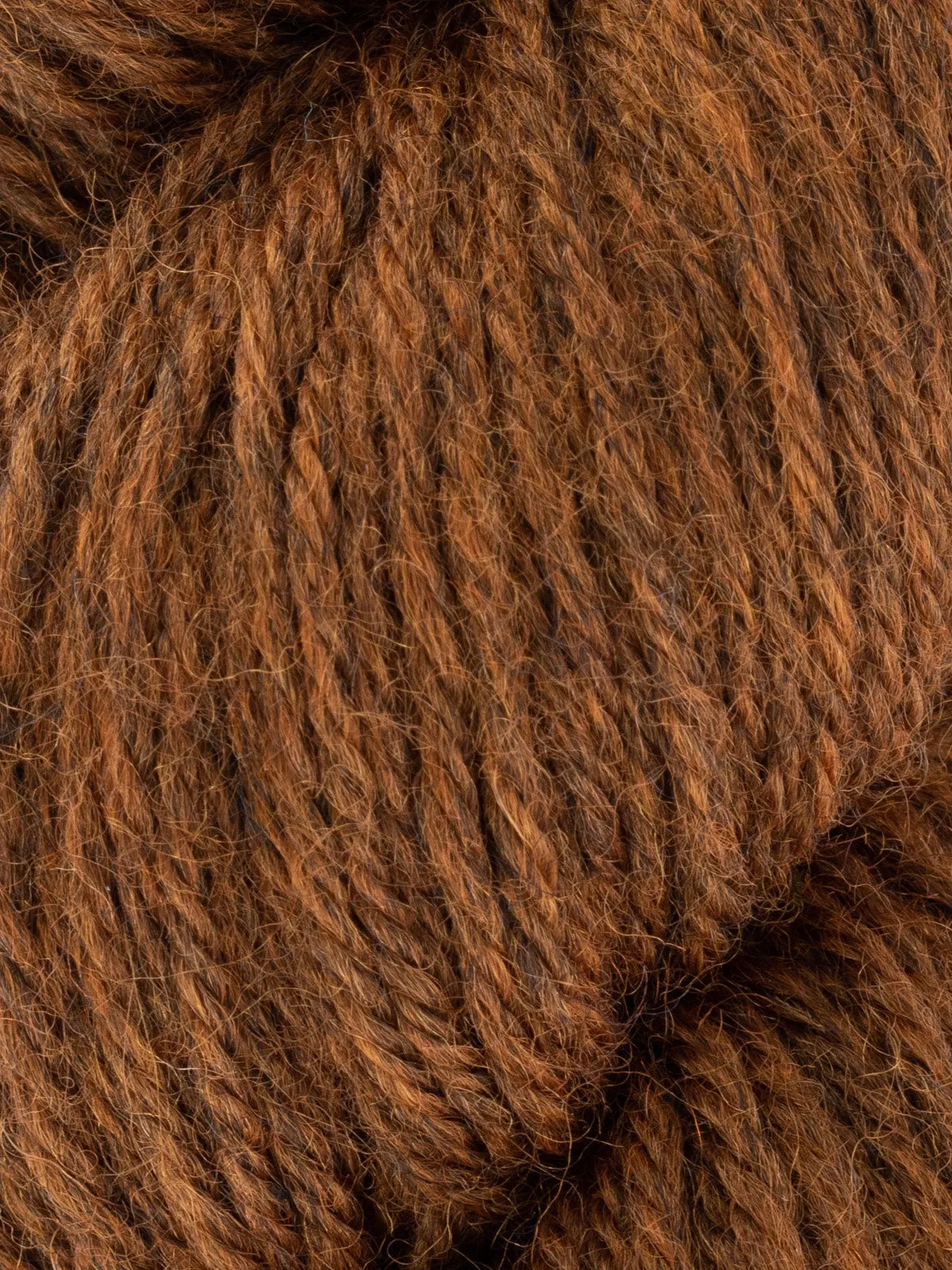 WYS Fleece Bluefaced Leicester DK Yarn