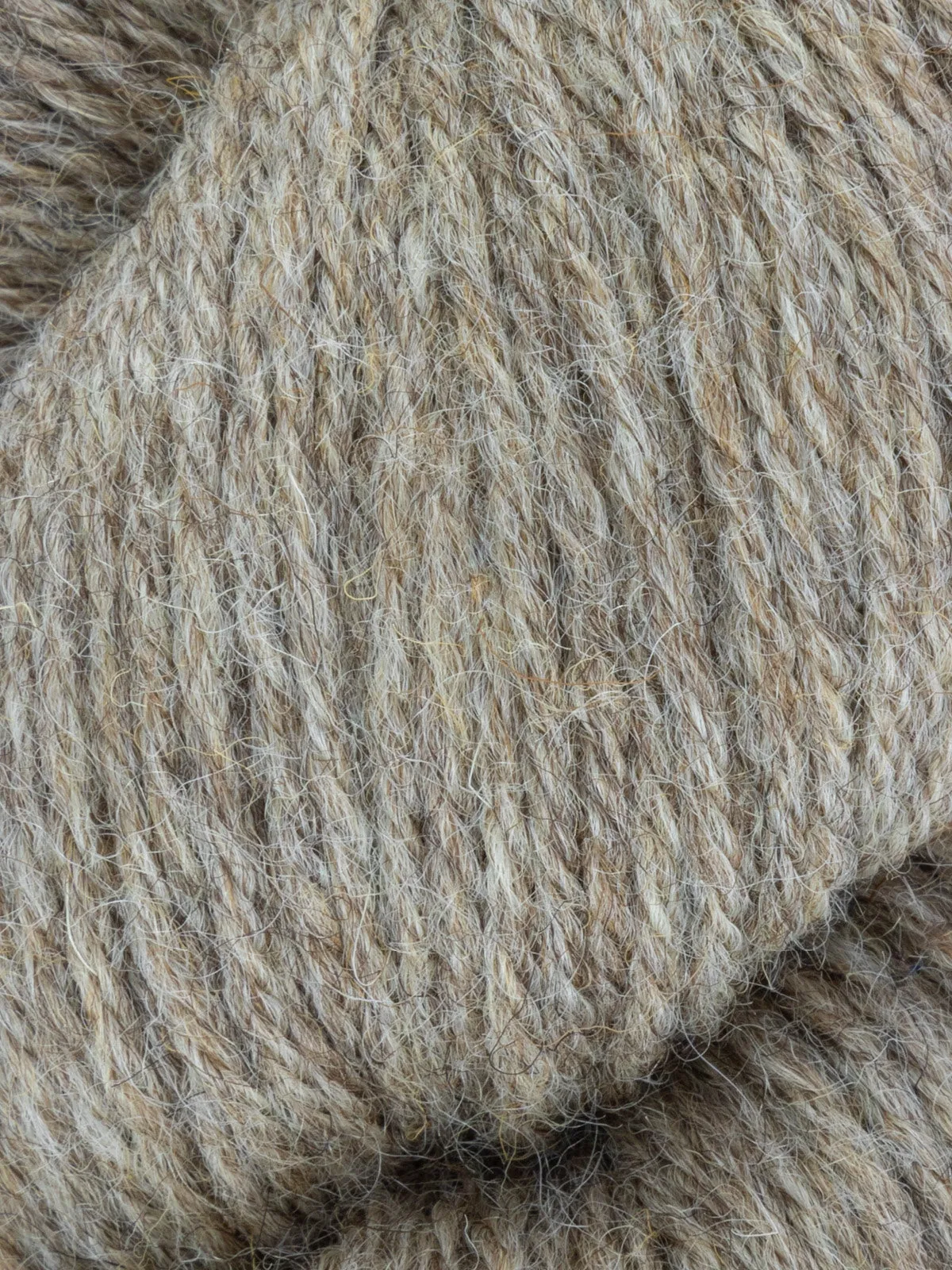 WYS Fleece Bluefaced Leicester DK Yarn